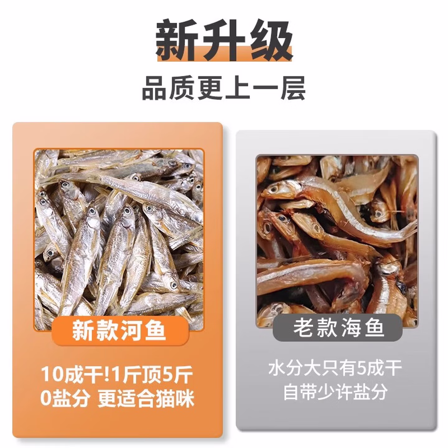 小鱼干猫猫零食宠物冻干多春鱼无盐猫咪零食成猫猫粮磨牙营养补钙 【品质升级约1000条】无盐淡水河鱼100g